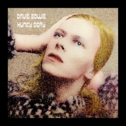 Hunky Dory